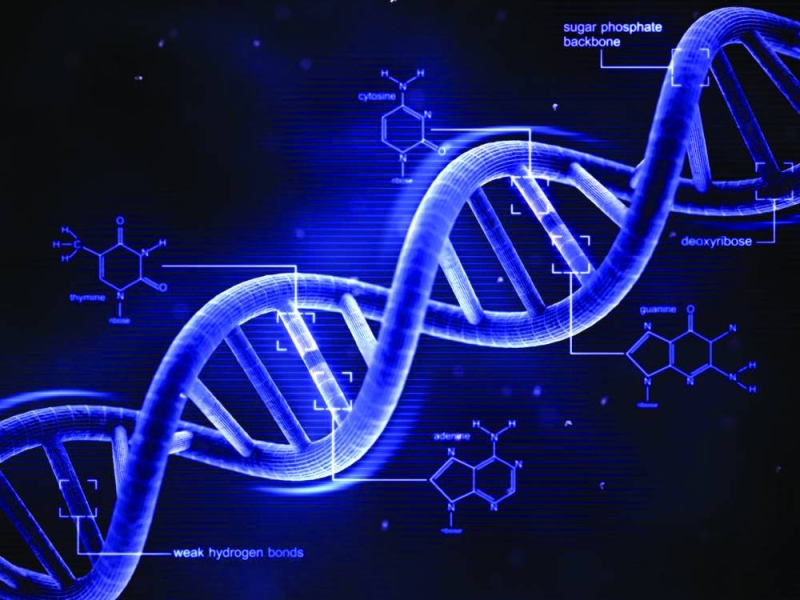 DNA shock as ex Cop told he's not father of twins