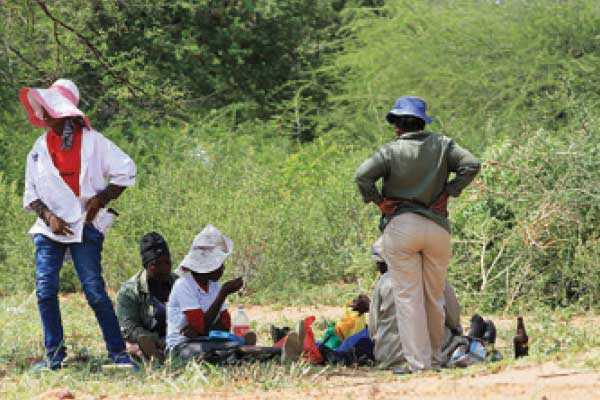 2017 budget: Matambo’s litmus test