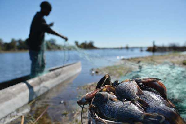 Lake Ngami residents want fishing reinstated