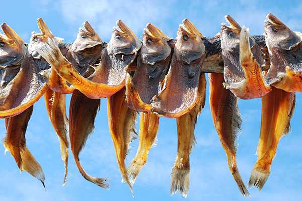 Khama’s ban of dried fish exports riles Maun community