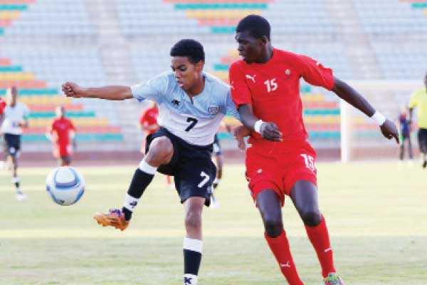 Diamond Zebras need international exposure