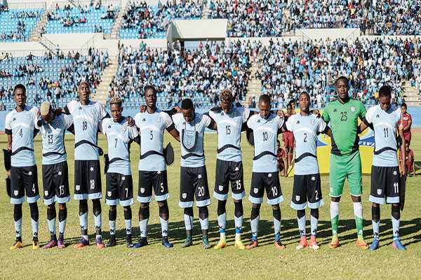 Stand off...Zebras confront BFA