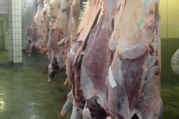 Meat consumption, an overlooked driver of climate change