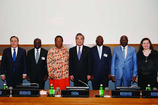 China promises all-out efforts to protect African countries' interests