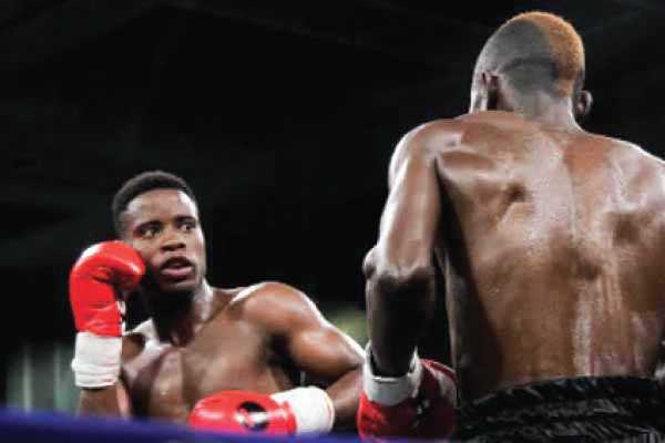 Busy schedule for local Boxing pros
