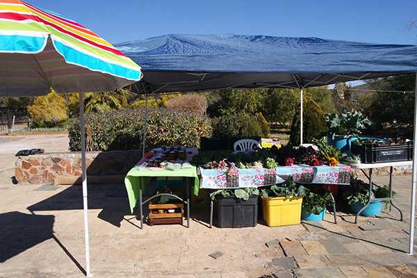 Kingfisher Farm opens for public viewing