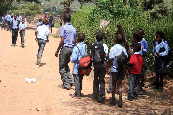 Primary school dropouts increase alarming