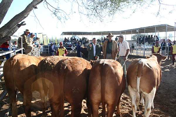 Gantsi, Ngamiland farmers form alliance