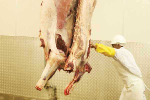 Loss from suspension of beef exports not quantified-BMC