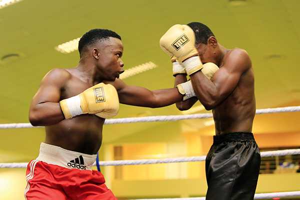 SA boxing promoters invade Botswana