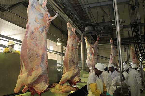 BMC retrenchment extends to all abattoirs