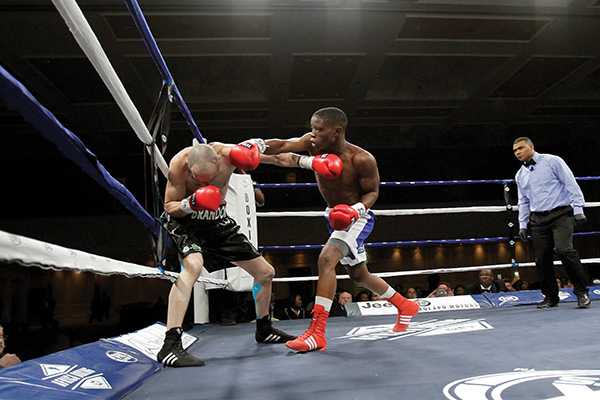 Pro boxing debutants impress