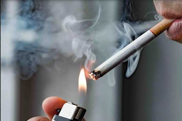 Tobacco traders appeal for the President's mercy