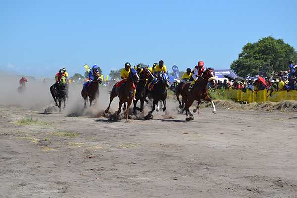 Charleshill horses dominate