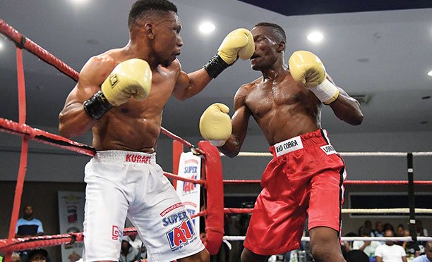 Bond Boxing stable makes strides