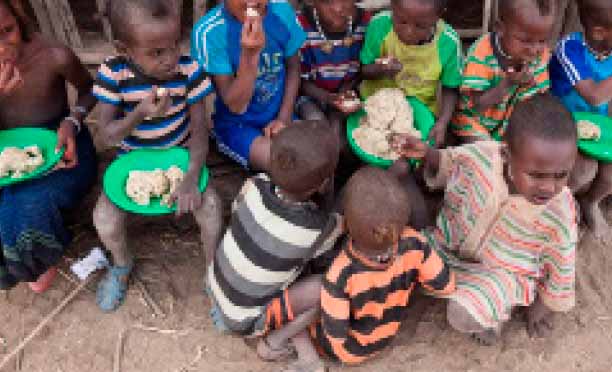 Botswana among countries facing burden of malnutririon