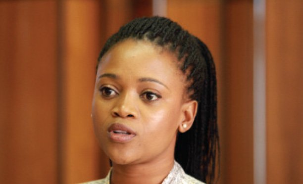 Government struggles with project implementation