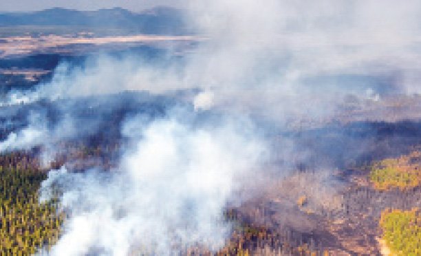 Basarwa’s indigenous knowledge could be used in fire fights
