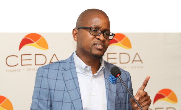 Poor yields affect CEDA repayments-Thamane