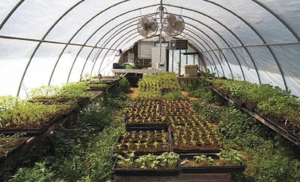 Calls to improve crop yields with technology